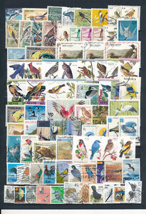 Ptaki zestaw znaczków kasowanych świat