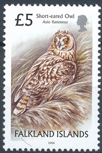 Falkland Islands Mi.0883 Y czyste**