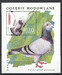 3367 Blok 156 czysty** Gołębie hodowlane